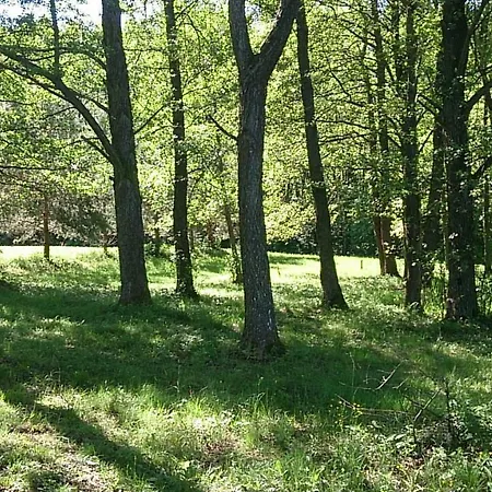 Apartament, Mieszkanie Blisko Jeziora, Miluki, Gm. Pasym. Apartment Pasym