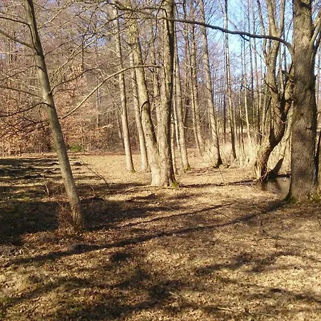 Apartament, Mieszkanie Blisko Jeziora, Miluki, Gm. Pasym.